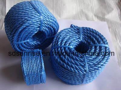 PP Rope/PP Split Film Twine/Plastic Ropes