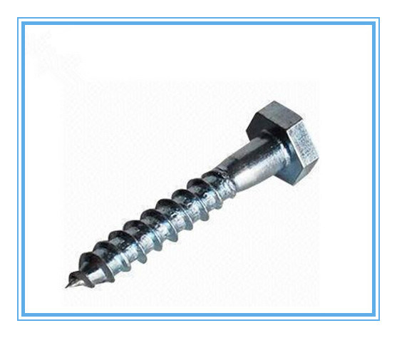 DIN571 Hex Head Self Tapping Wood Screw