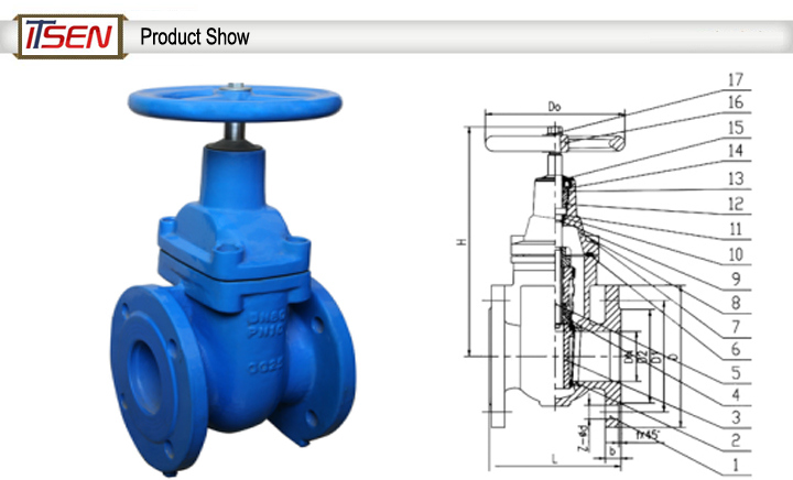 ANSI-125psi/150psi Cast Iron Metal Seated Gate Valve (Rising Stem)