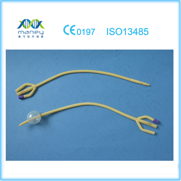 2-Way Disposable Medical Latex Foley Balloon IV Cannula Catheter (MN-FC0001)
