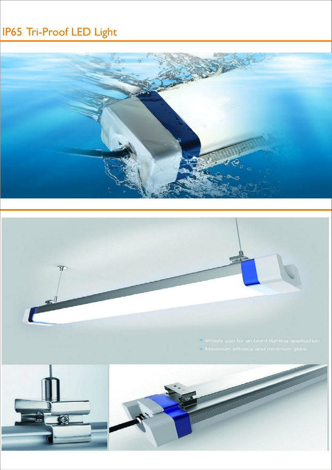 Shenzhen Factory Price IP65 Tri-Proof LED Light 30W for Warehouse