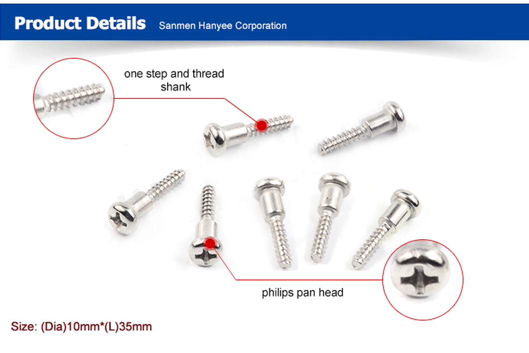 SGS Proved Products Hardware CNC Welding Screw
