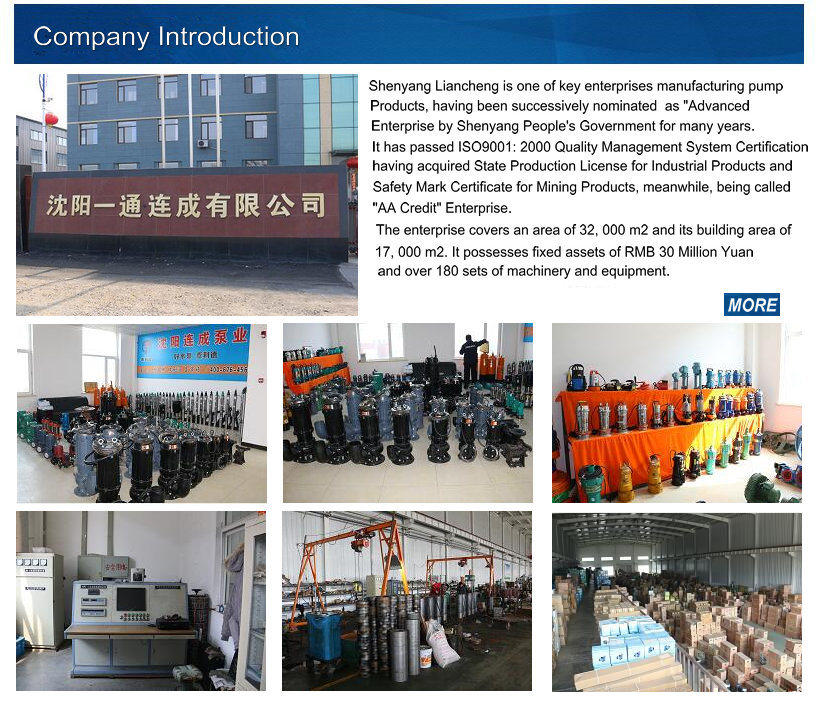 Primary Water Treatment Plant VLC Long Shaft Pump