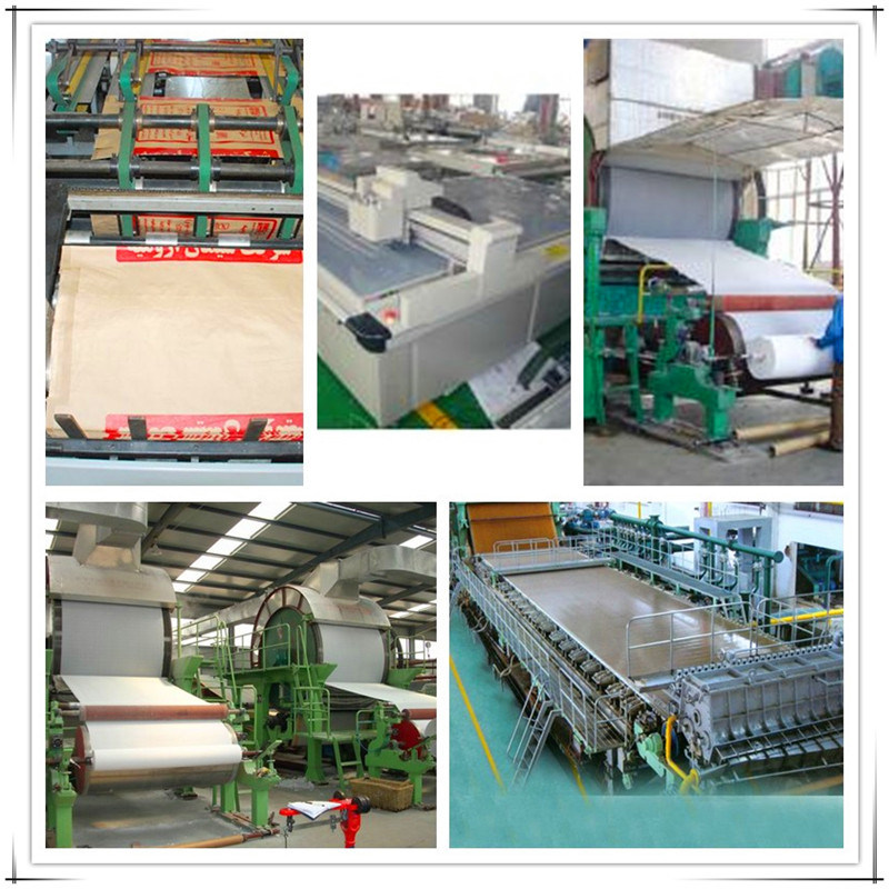 Automatic Paper Plate Making Machine Price