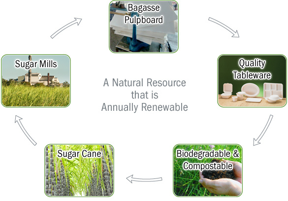 100% Biodegradable Pulp Sugarcane Lunch Box 600ml