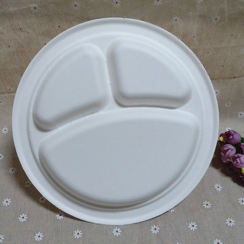 Recyclable Biodegradable Compartment Dish Compostable Disposable Bagasse Plate