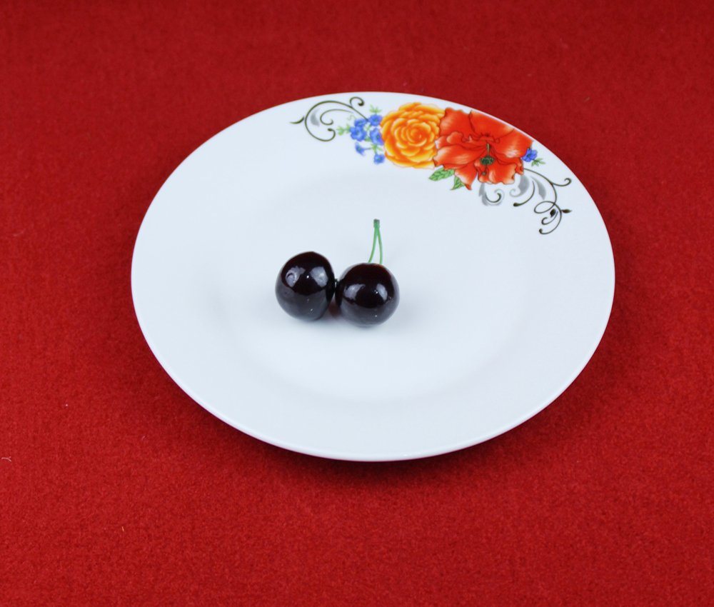 Tableware Ceramic Plate/Ceramic Dinnerware