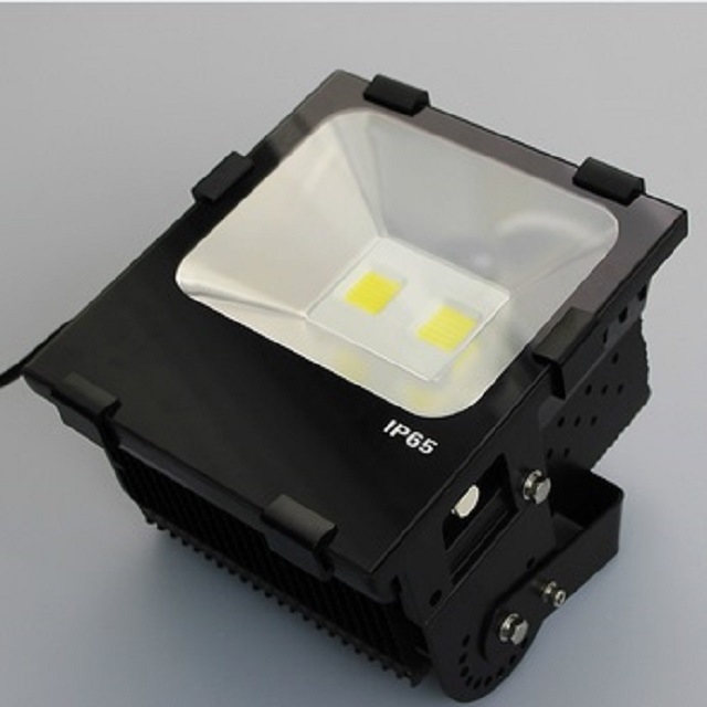 Cheap Price Hot Sale IP65 Waterproof Outdoor LED Floodlight (RB-FLL-100WF2)