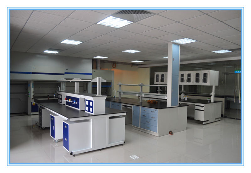 3 Years Warranty and Factory Price Laboratory Test Furniture