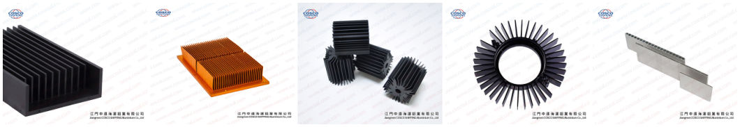 Customized Aluminium Heat Sink Extrusion for Amplifier