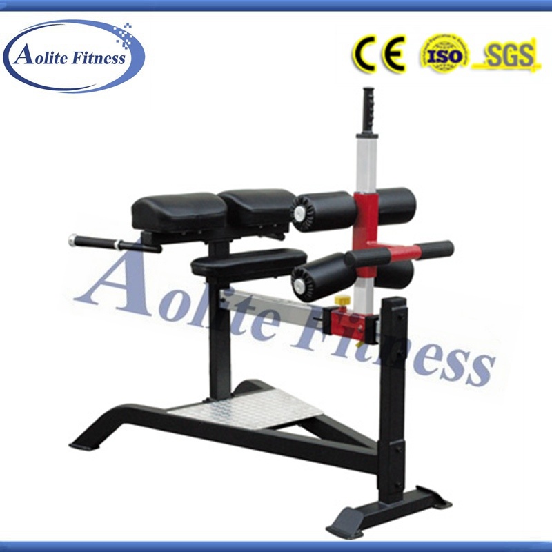 Commercial Gym Equipment / Fitness Equipment / Adjustable Roman Chair/ Fitness Equipmen/Gym Equipment