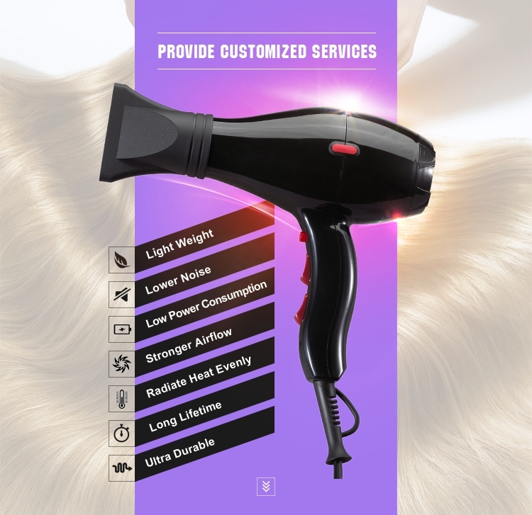 Best Selling AC Hair Dryer with Compact Size Rg8019