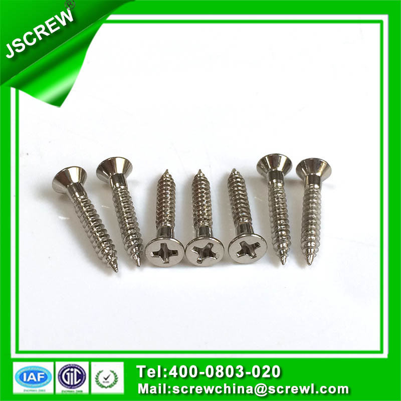 Special Customized Stainless Steel Flat Head Self Tapping Screw