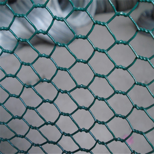 High Quality PVC Coated Hexagonal Wire Mesh for Chicken