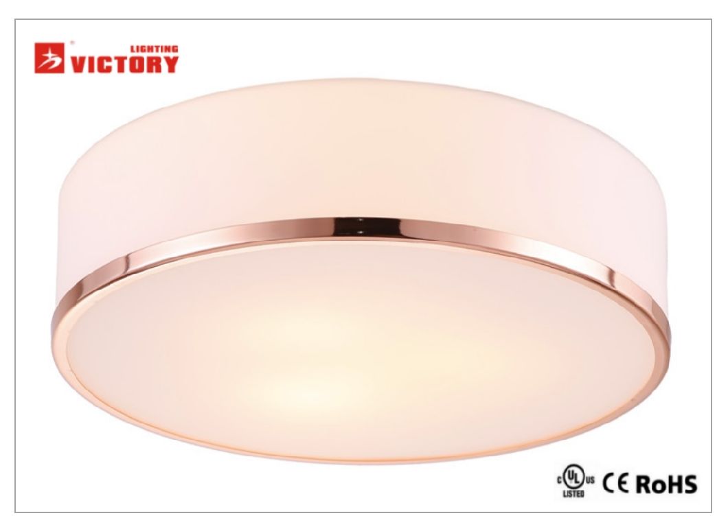 Modern Ceiling Lamp Shade Glass LED Lighting