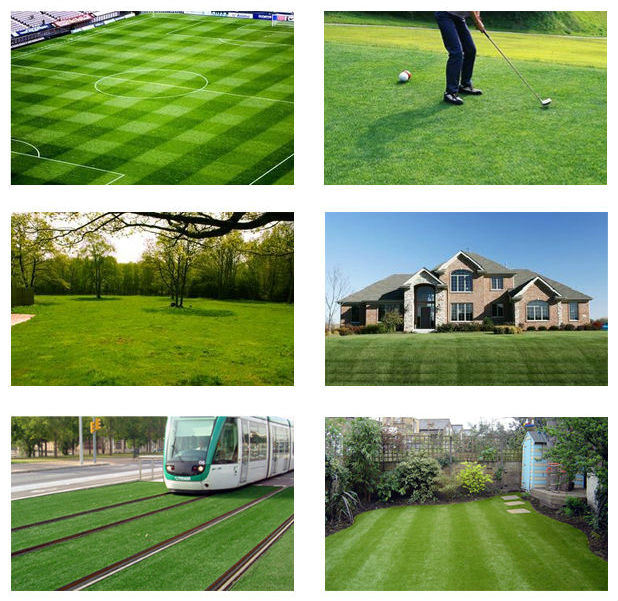 China Wholesale Professional Artificial Turf Grass for Landscape Garden