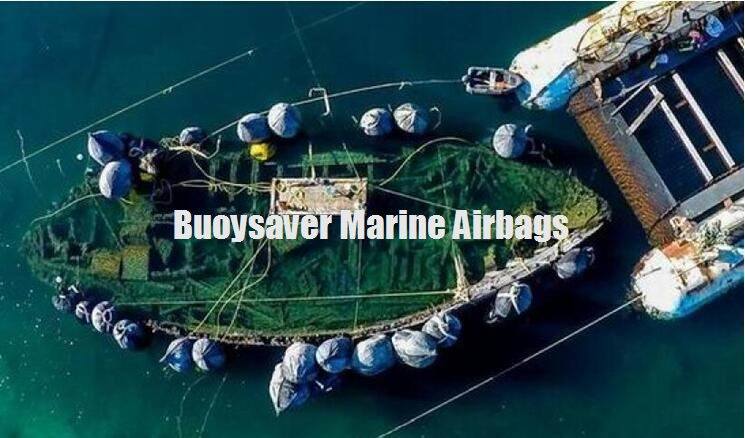 Inflatable Rubber Airbag Help Lifting and Floating of Broken Ship for Norway Customer in The Arctic, Rubber Airbag Manufacturer From China