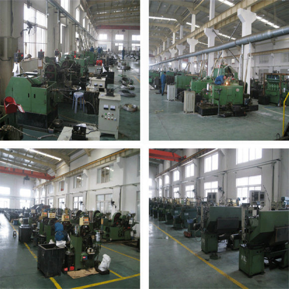 China Supplier Carbon Steel 4.8 8.8 Grade Color Zinc Plated DIN6921 Hex Flange Bolt