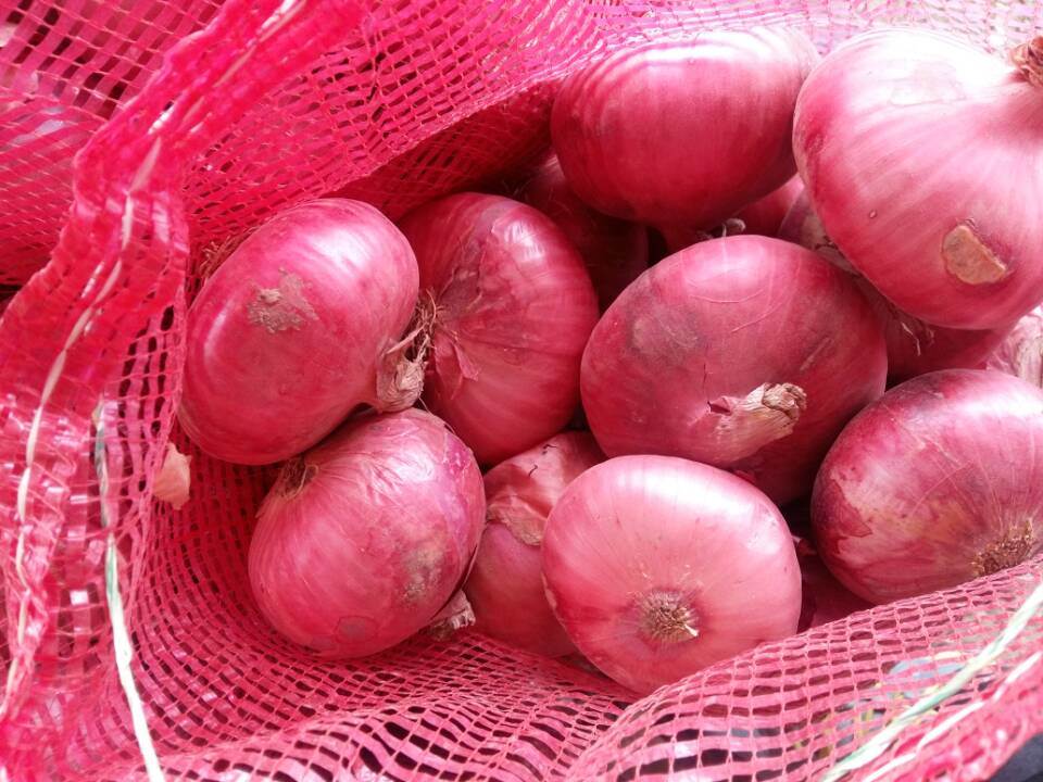 New Crop Chinese Fresh Red Onion for Sale