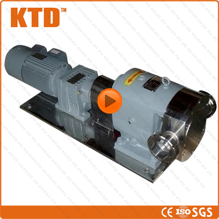 Ce ISO Rotor Pump 3kw Sauce Stainless Steel Pepper Sauce Pump