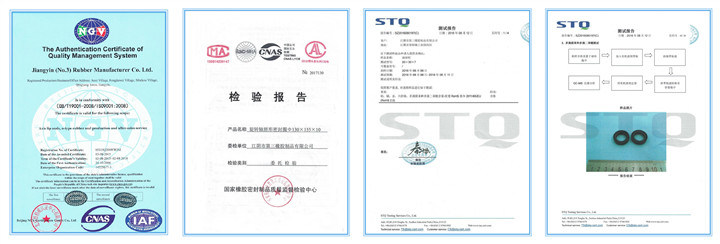 Parts in Oil & Gas Valve Applications Engine Pump Oil Seal