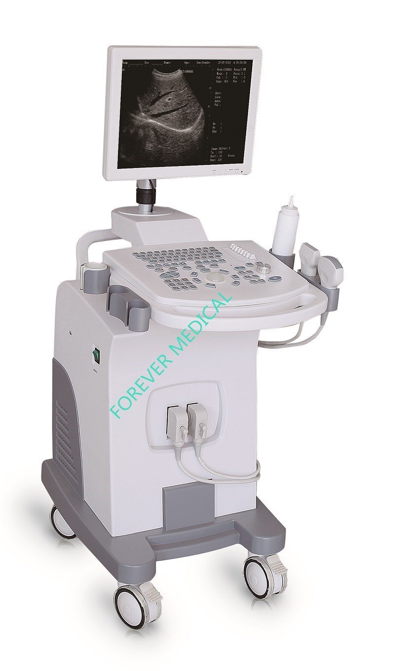 LED Color Doppler Cardiac Gynecology Ultrasound Ultrasonography