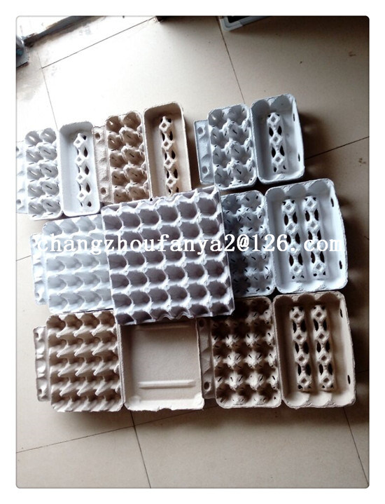 Pulp Tray Mould for Eggs and Tools