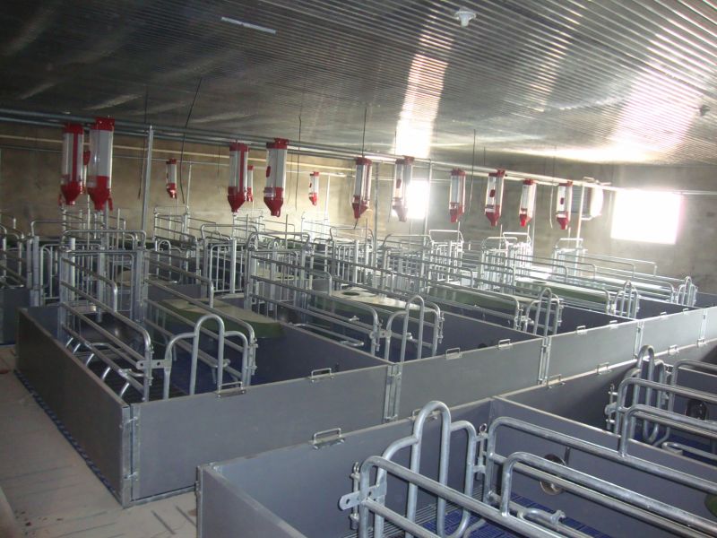 Pipeline Pigging Equipment High Strengh Galvanized Swine Cages