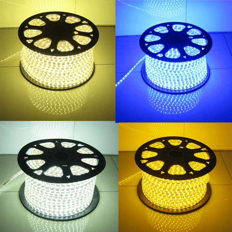 Factory Supply 5050 SMD 300 Waterproof LED Flexible Strip Light