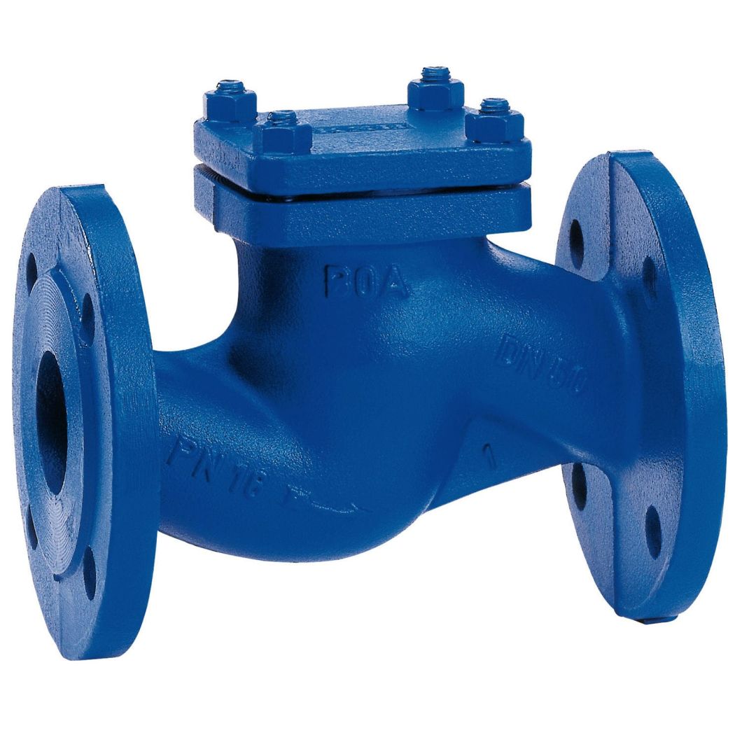 Flap Industrial Check Valve with Best Quality Lift Check Valve