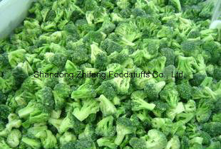 Chinese IQF Frozen Broccoli for Exporting