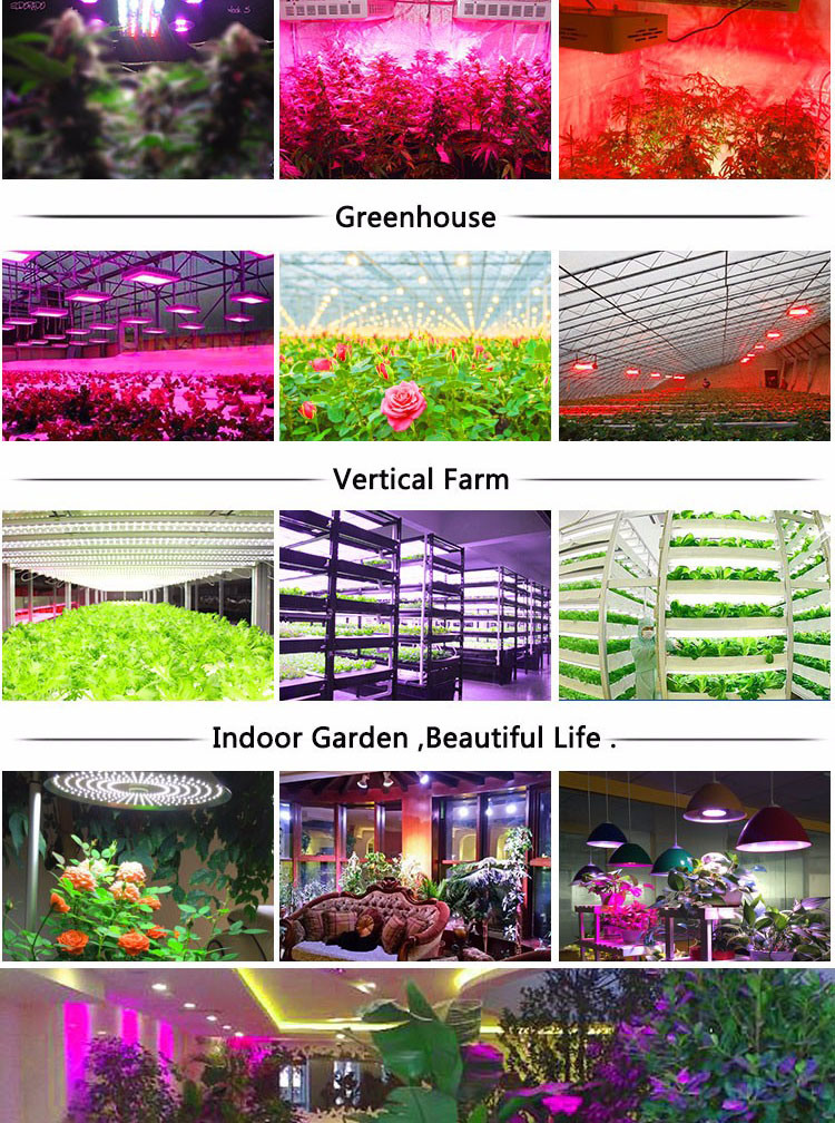 Newest LED Grow Light PAR38 15W E26 E27 for Home Organic Bulb Red Blue New Style for All Kinds of Plants