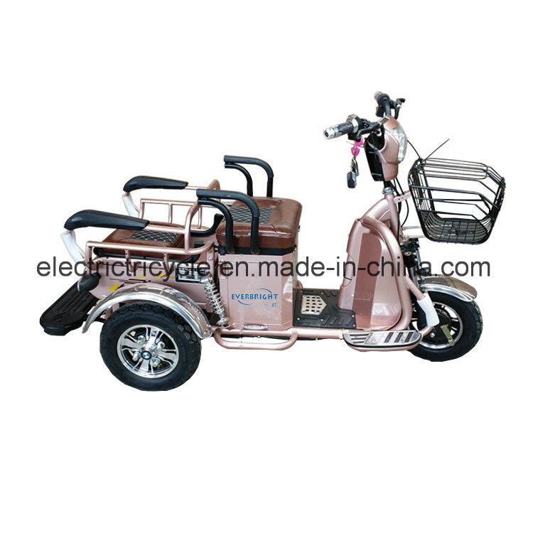 500W/800W Electric Disabled Trike, 3 Wheels Electric Scooter for Disabled