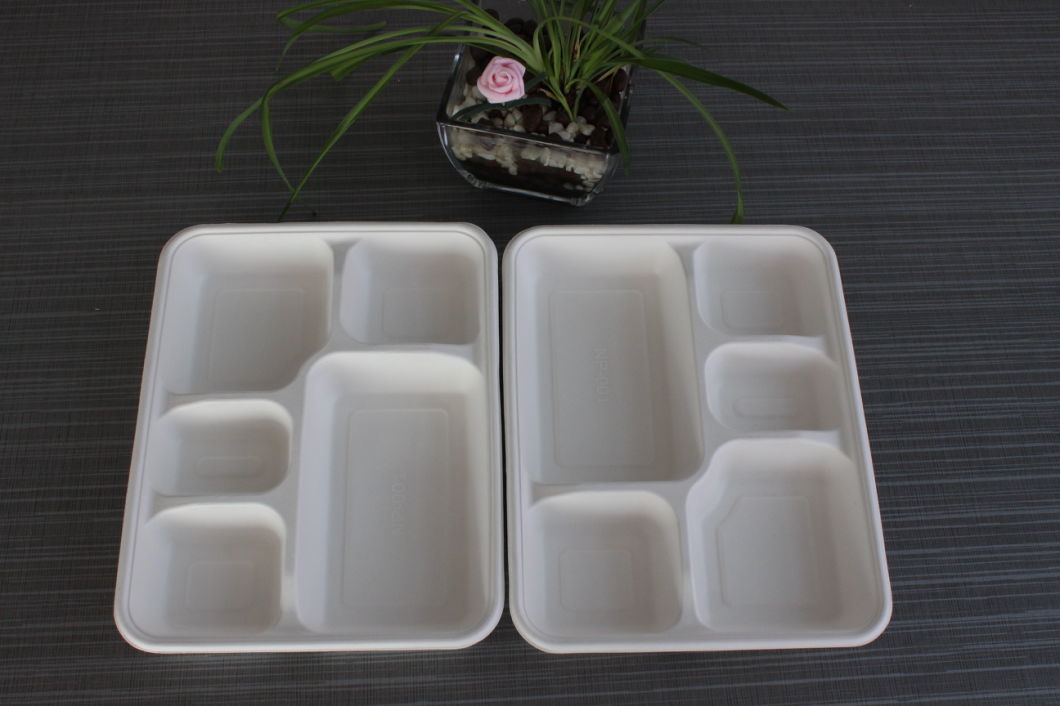 Disposable Biodegradable Bagasse Sugarcane Plate Wheat Straw Pulp Tray