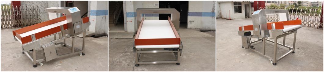 Industrial Conveyor Belt Metal Detector for Washing Industry