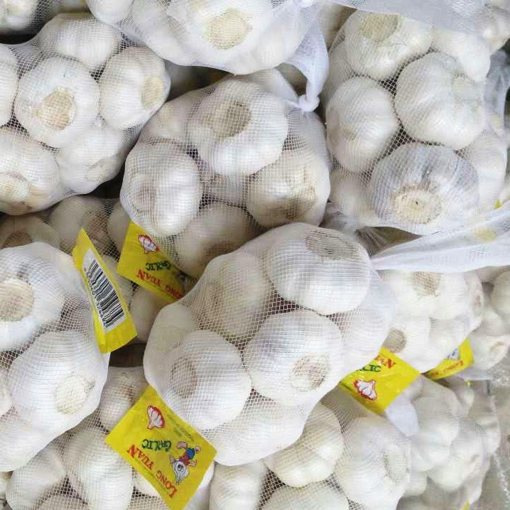 Loose Bag Packing Fresh White Garlic