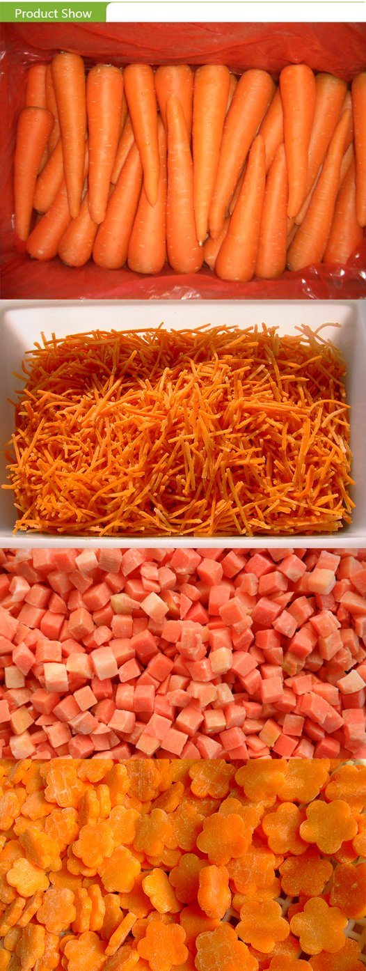 Top Quality Fresh Whole Carrot