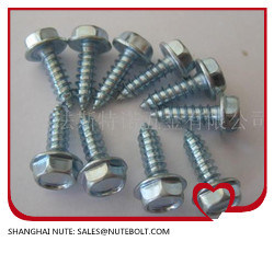 Hex Washer Head Self Tapping Screw and Self Drilling Screws