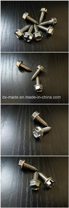 Stainless Cheese Slotted Hex Washer Head Self Tapping Screw