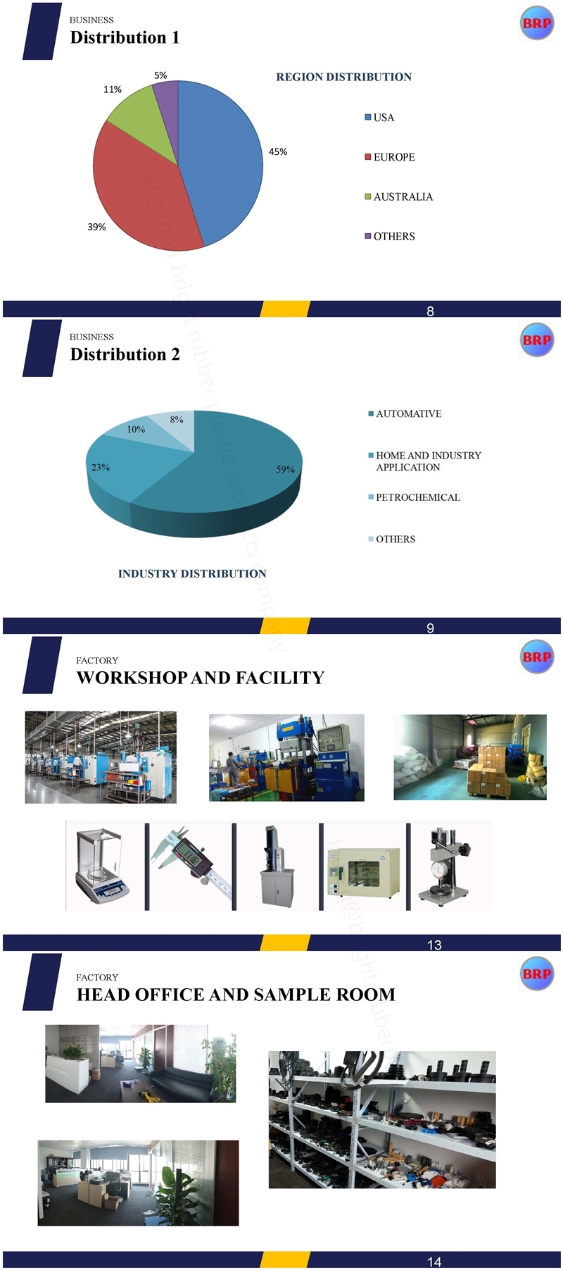 Plastic Clamp Clip Customized in High Precision