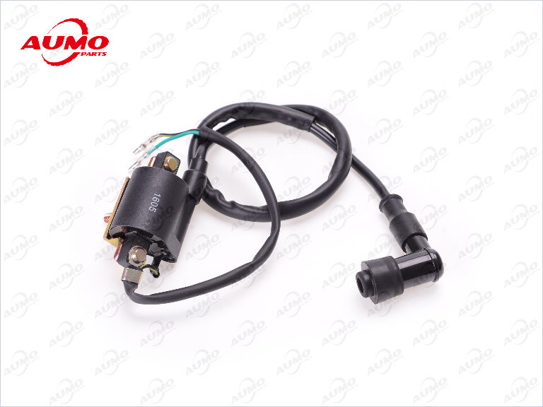 Ignition Coil for Dy100 139fmb 50cc 147fmd 70cc Engine Parts