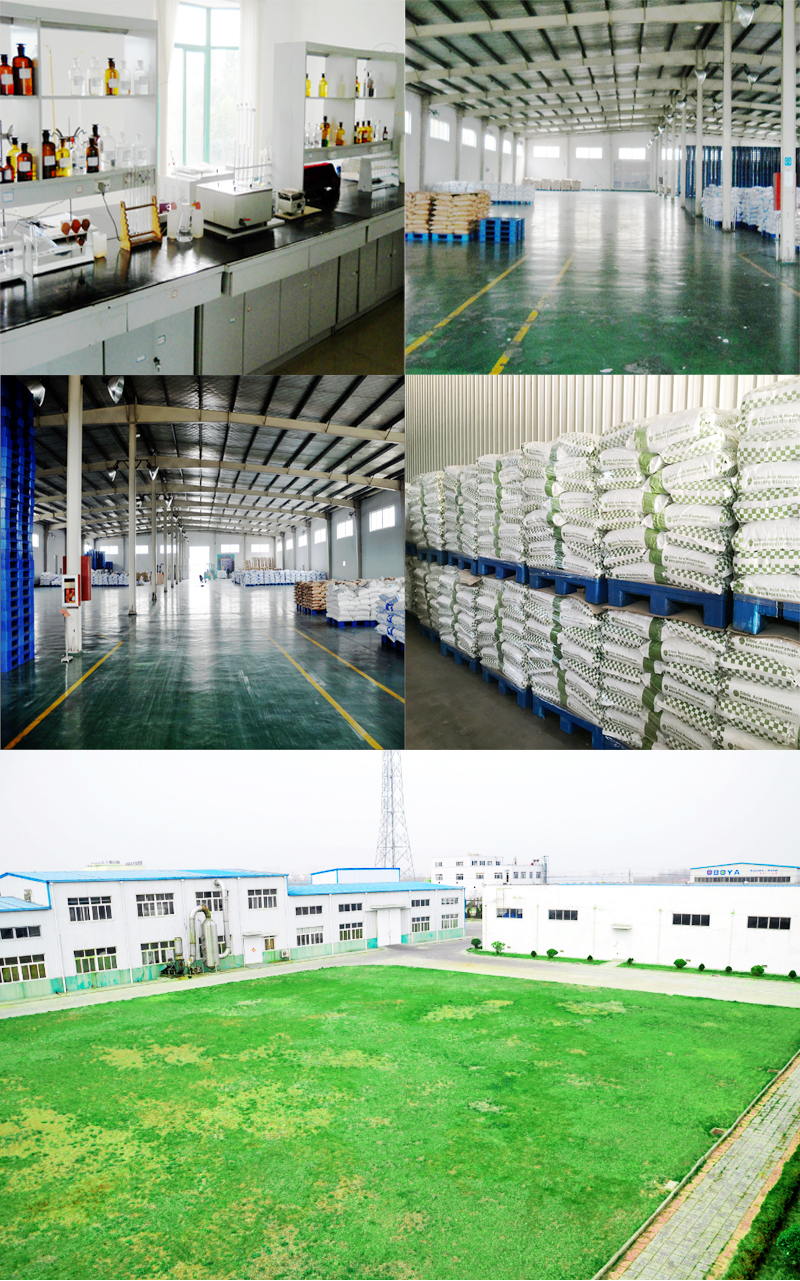High Purity Sodium Carboxymethyl Cellulose CMC Cellulose / Coating Grade CMC