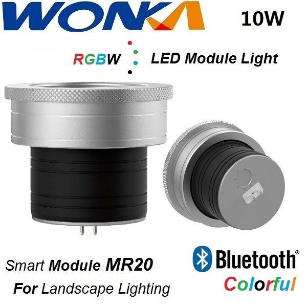 RGBW Colorful LED Module Light MR20 for Landscape Lighting
