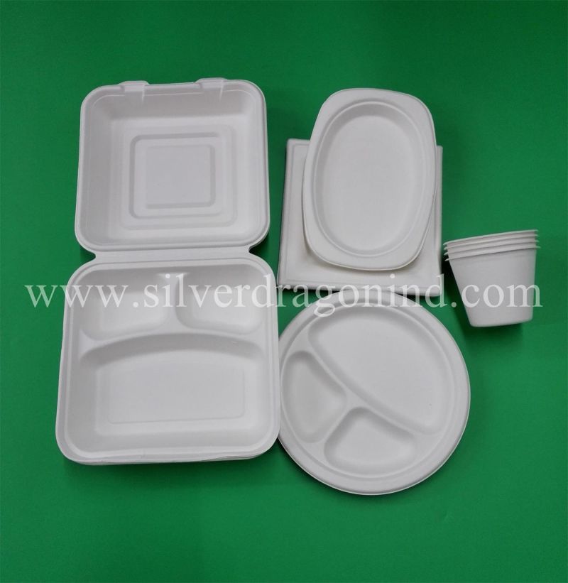 Food Grade Biodegradable Sugarcane Pulp Paper Disposable Plate