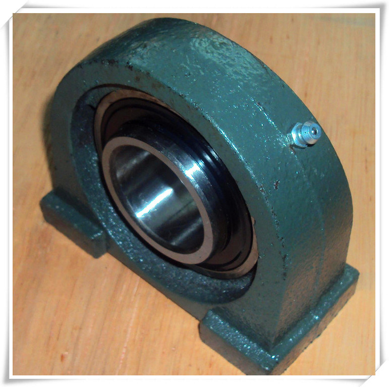 Auto Bearing Ucpa207-20 Pillow Block Bearing /Bearing Housing