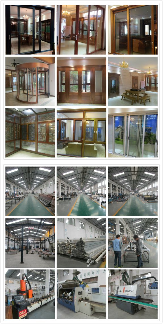 Guangdong Woodwin Hot Seller Double Tempered Glass Aluminium Sliding Door (YS-120A)