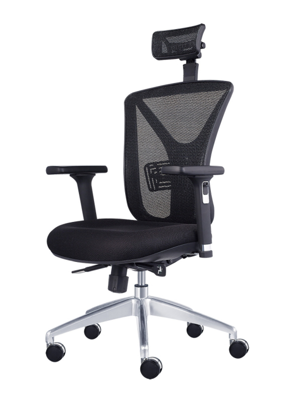 Director Luxury Ergonomic Mesh Office Chair