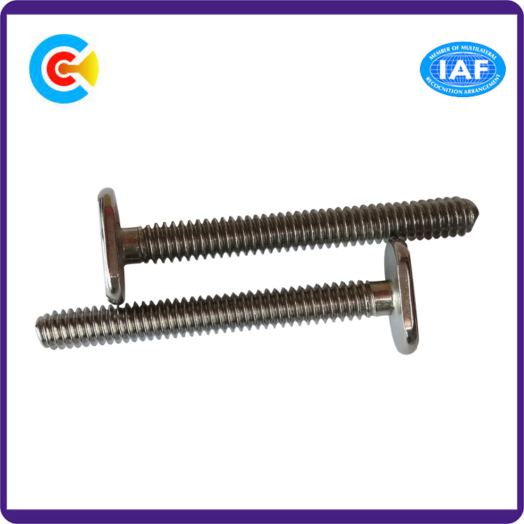 Stainless Steel Flat Tail T Head Fastener Screw for Bathroom