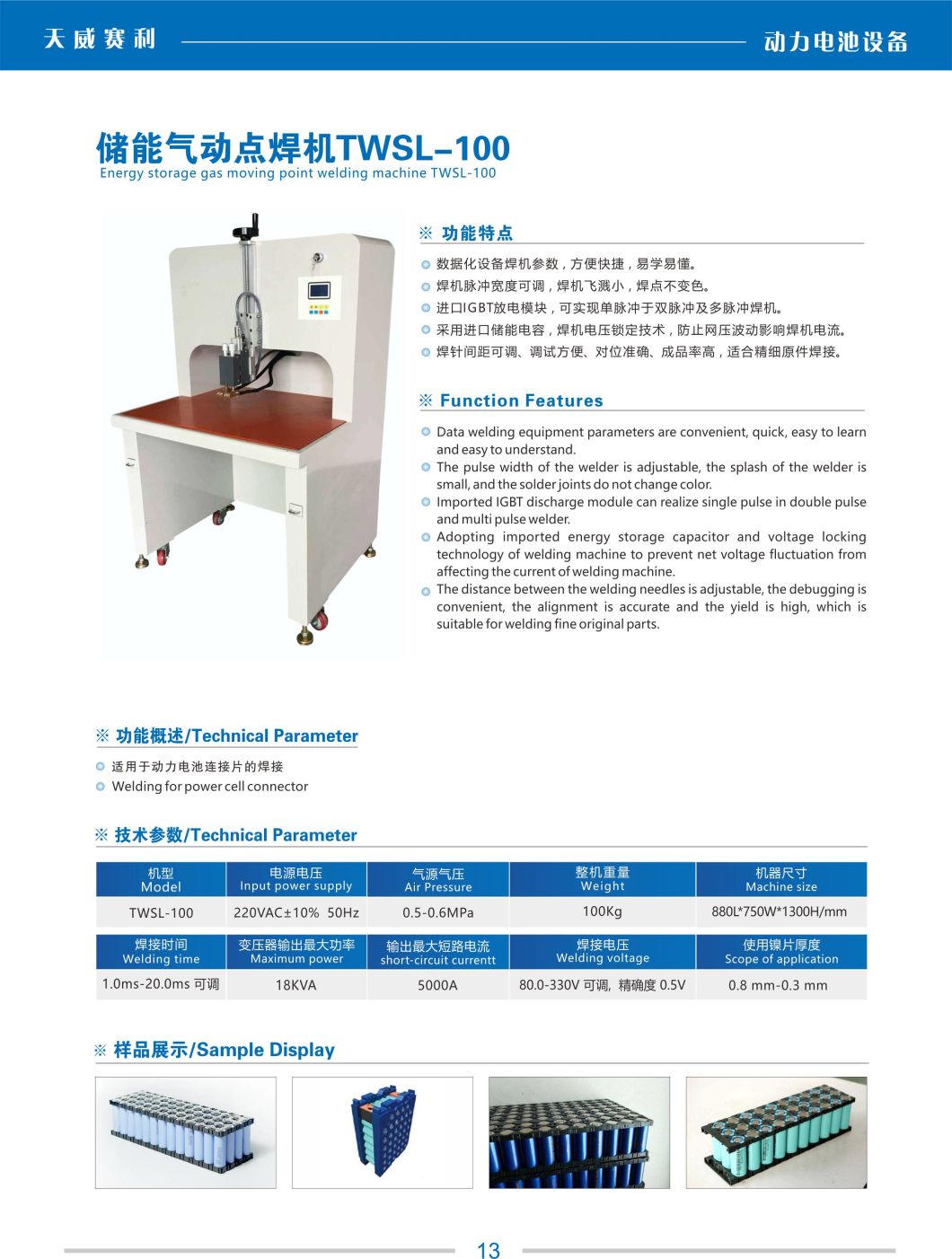 OEM Accepted High Speed Inverter DC Microcomputer Dual Pulse Battery Pack Welder Twsl-100