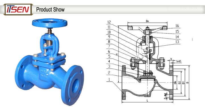 DIN Pn16 Cast Iron Bellows Globe Valve Dn65